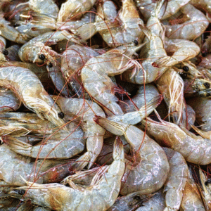 Prawns Small Deshelled 45 - 65 Pcs