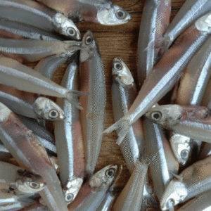 Anchovy / Nethili / Netholi Half kg( cleaned )